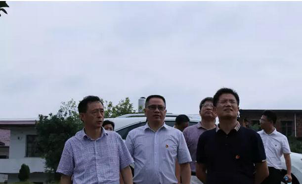 罗坊镇五金店